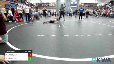 49 lbs Semifinal - Tyler Lindsey, Clinton Youth Wrestling vs Finlee Sellers, Rough Riders