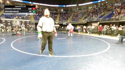 167 lbs Consy 1 - Dominic Stephens, Curwensville vs Brayden Walsh, Riverview