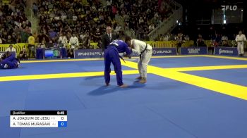 ALEXANDRE JOAQUIM DE JESUS vs ANDY TOMAS MURASAKI PEREIRA 2024 World Jiu-Jitsu IBJJF Championship