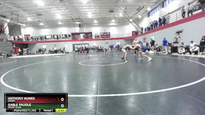 149 lbs Champ. Round 1 - Gable Pauole, Mount Olive vs Anthony Nunes, UMary