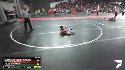 78 lbs Champ. Round 1 - Riley Brahmer, Glenwood City vs Damon Johannes-Kasuboski, Berlin Youth Wrestling