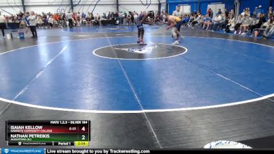 Silver 184 lbs Quarterfinal - Nathan Petreikis, Augustana (IL) vs Isaiah Kellow, Hawkeye Community College