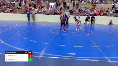 79 lbs Quarterfinal - Jehu Norris, Georgia vs Ashton Trujillo, Roswell Wrestling Club