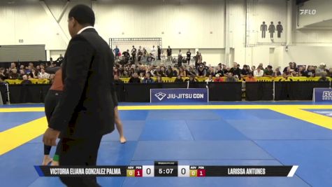 Larissa Antunes vs Victoria Eliana Gonzalez Palma 2025 World IBJJF Jiu-Jitsu No-Gi Championship
