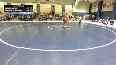 141 lbs Champ. Round 1 - Nicholas Schmucker, Liberty vs Carlens Lapaix, East Stroudsburg
