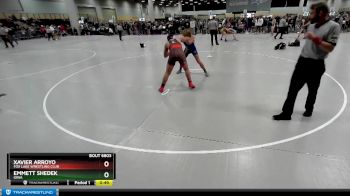 165 lbs Cons. Round 3 - Emmett Shedek, Iowa vs Xavier Arroyo, Fox Lake Wrestling Club