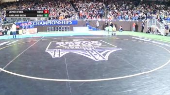 D2-285 lbs 1st Place Match - Layne O`Neil, Fowlerville vs Harland Begg, Marshall