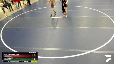 110 lbs Quarterfinal - Caleb Whitlock, Rogers Area vs Alex Fox, Minnesota