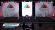 Heartland Cheer & Athletics - Cheetahs [2023 L1 Youth - Small Day 2] 2023 The Regional Summit: Southwest