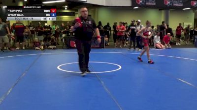 78 lbs Champ. Rd Of 32 - Levi Pike, Michigan West Wrestling Club vs Wyatt Gaul, Colon Wrestling Academy