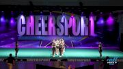 Cheer Infinity Allstars - Great Whites [2022 L4 Senior - D2] 2022 CHEERSPORT Raleigh Classic