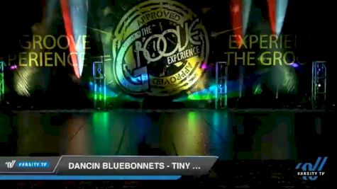 Dancin Bluebonnets - Tiny Prep Lyrical/Contemporary [2020 Tiny - Prep - Contemporary/Lyrical Day 1] 2020 Encore Championships: Houston DI & DII