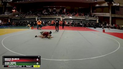 102 lbs Finals (8 Team) - Brock Irlbeck, Wabasso vs Kash Ward, Grand Rapids