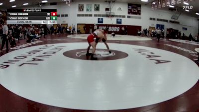 141 lbs Cons. Semi - Cole Nelson, Carthage College vs Cole Becker, Augsburg