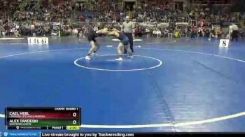 138 lbs Champ. Round 1 - Cael Hebl, LaMoure-Litchville/Marion vs Alex Tandeski, Northern Lights
