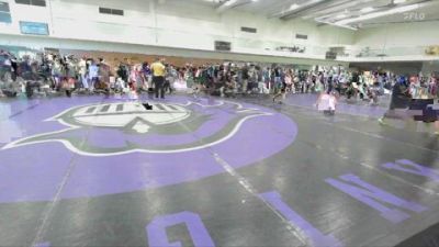 120 lbs Quarterfinal - Clarissa Cisneros, Northview vs Tanah Smith, Iron Squad