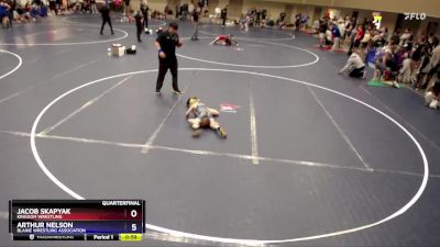 63 lbs Quarterfinal - Jacob Skapyak, Kingdom Wrestling vs Arthur Nelson, Blaine Wrestling Association