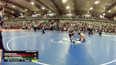 80 lbs Champ. Round 1 - Colton Foos, Nixa Youth Wrestling-AAA  vs Declan Witkowski, Independence Youth Wrestling-AA