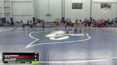 197 lbs Cons. Round 3 - Luca Romasco, York (PA) vs Kole Lester, Delaware Valley
