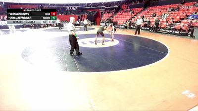 2A 138 lbs Champ. Round 1 - Braden Rowe, Troy (Triad) vs Chance Woods, Evergreen Park