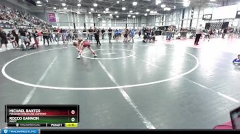 110 lbs Semifinal - Michael Baxter, Punisher Wrestling Company vs Rocco Gannon, INWTC