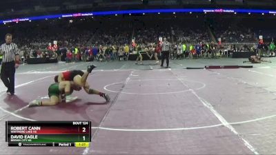 D4-165 lbs Quarterfinal - Robert Cann, Whitmore Lake HS vs David Eagle, Brown City HS