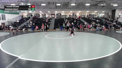 96 lbs 3rd Place Match - Brennan Finley, Willard Youth Wrestling vs Tucker Brumm, Immortal Athletics WC