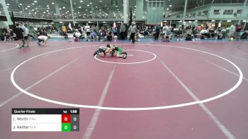 102 lbs Quarterfinal - Logan Worth, Sly Fox Wrestling Club Gray vs Jack Reitter, PA Alliance Blue