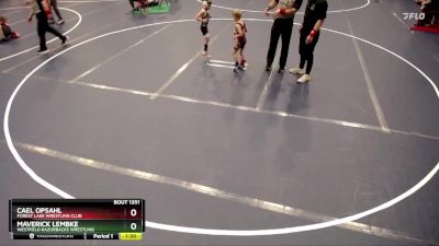 1st Place Match - Cael Opsahl, Forest Lake Wrestling Club vs Maverick Lembke, Westfield Razorbacks Wrestling