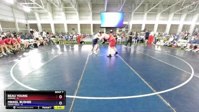 285 lbs Round 2 (8 Team) - Beau Young, Kansas vs Mikkel Bushee, Texas Gold