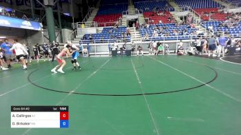 132 lbs Cons 64 #2 - Aaron Callirgos, Arizona vs Deegan Birkaker, Minnesota