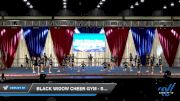 Black Widow Cheer Gym - Splash [2020 L1 Youth - Medium Day 2] 2020 The American Majestic DI & DII