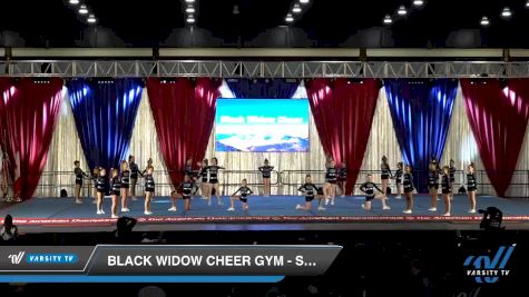 Black Widow Cheer Gym - Splash [2020 L1 Youth - Medium Day 2] 2020 The American Majestic DI & DII