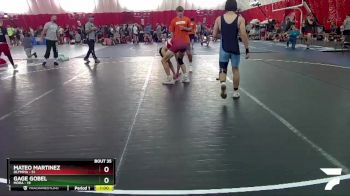 125-125 lbs Round 3 - Mateo Martinez, Olympia vs Gage Gobel, Mora