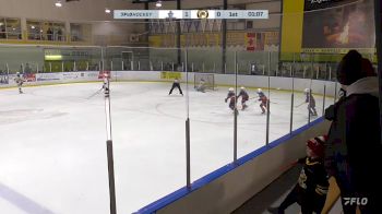 Replay: Home - 2024 Islanders U10 vs Lambton U10 | Nov 29 @ 6 PM