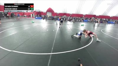 138 lbs Semis & Wb (16 Team) - Caynen Schmidt, Buffalo vs Donavin Czech, Cambridge-Isanti White