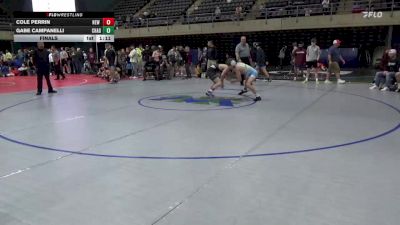 120 lbs Final - Cole Perrin, New Castle vs Gabe Campanelli, Chadds Ford
