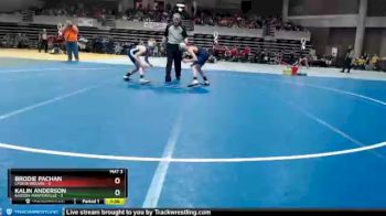 95 lbs Quarterfinals (8 Team) - Kalin Anderson, Kasson-Mantorville vs Brodie Pachan, LPGE/B Wolves