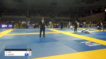 ERIC JASPER B vs ANDRE LUIZ NOVAES 2019 Pan Jiu-Jitsu IBJJF Championship
