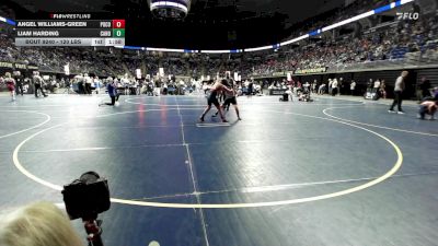 120 lbs Round Of 32 - Angel Williams-Green, Pocono Mountain West vs Liam Harding, Canon-McMillan