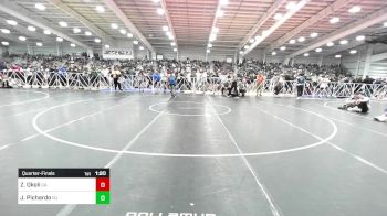 126 lbs Quarterfinal - Zammy Okoli, GA vs Jada Pichardo, NJ