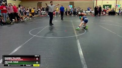 80 lbs Cons. Round 1 - Damien Tillison, Scanlan Wrestling Academy vs Michael Saile, CRWA