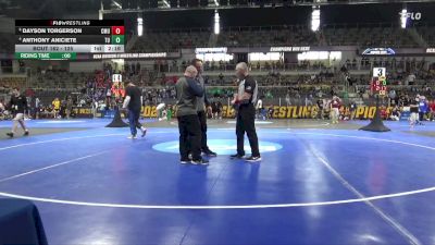 125 lbs Quarterfinal - Dayson Torgerson, Colorado Mesa vs Anthony Aniciete, Tiffin