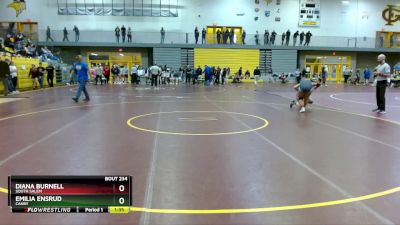 120 lbs Semifinal - Diana Burnell, South Salem vs Emilia Ensrud, Canby