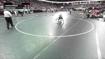 D1-138 lbs 5th Place Match - Jayden Yauck, Oconomowoc vs Carter Freeman, Wisconsin Rapids Lincoln