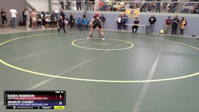 175 lbs Cons. Round 2 - Graelin Chaney, Dillingham Wolverine Wrestling Club vs Kaden Robinson, Anchorage Freestyle Wrestling Club