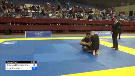 Cesar Ismael Gonzalez Zamora vs Ulyses Aguila-Gonzalez 2024 Pan IBJJF Jiu-Jitsu No-Gi Championship
