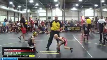 41 lbs Round 3 (6 Team) - Alexander Sheard, Nebraska Elite vs Nelson Zwanziger, Untouchables Black