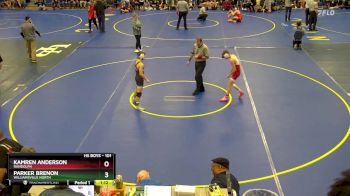 101 lbs Champ. Round 2 - Kamren Anderson, Randolph vs Parker Brenon, Williamsville North