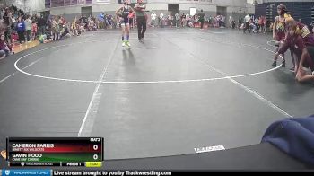 58 lbs Quarterfinal - Gavin Hood, Cane Bay Cobras vs Cameron Parris, Ninety Six Wildcats